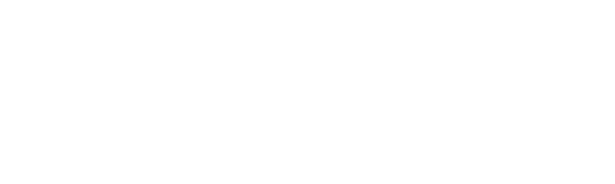 wiwi.news